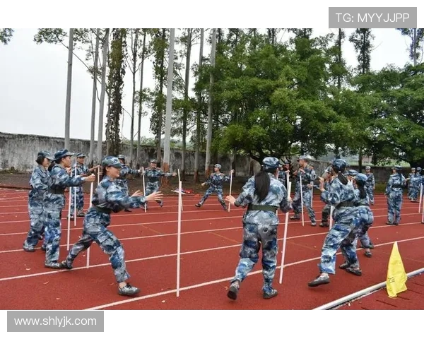 科学攀岩比赛经验分享与高效训练方法探讨