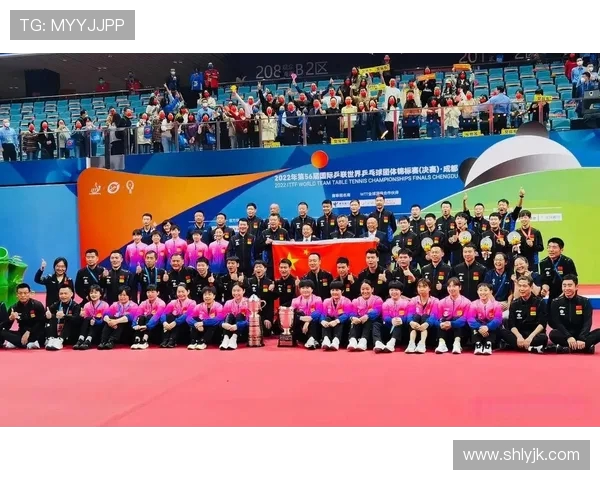 上海乒乓球队意识对比分析揭示团队协作与个人能力的深层次影响