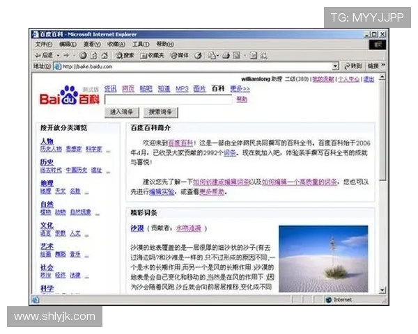 深圳排球队实力解析：从技术到团队协作的全面探讨与展望
